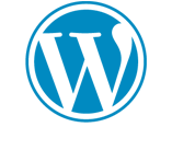 Hire WordPress Developer